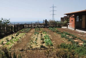 Cuidado y plantado por los chicos de granja