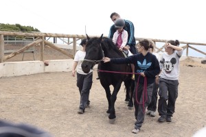 Los jóvenes realizando terapias ecuestres