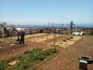 Agricultura Ecológica