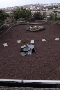 Nuestro Techo Verde hecho por los jóvenes del Campo de Verano